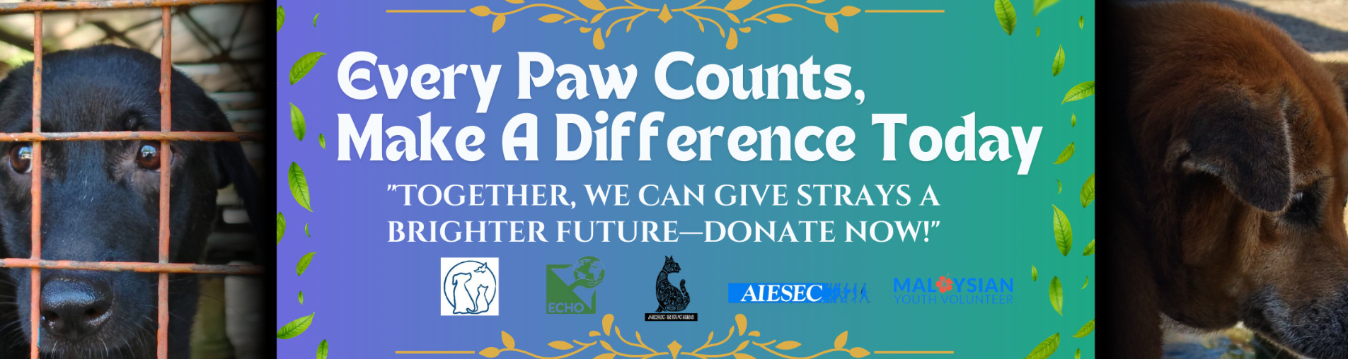 Every Paw Counts, Make A Difference Today